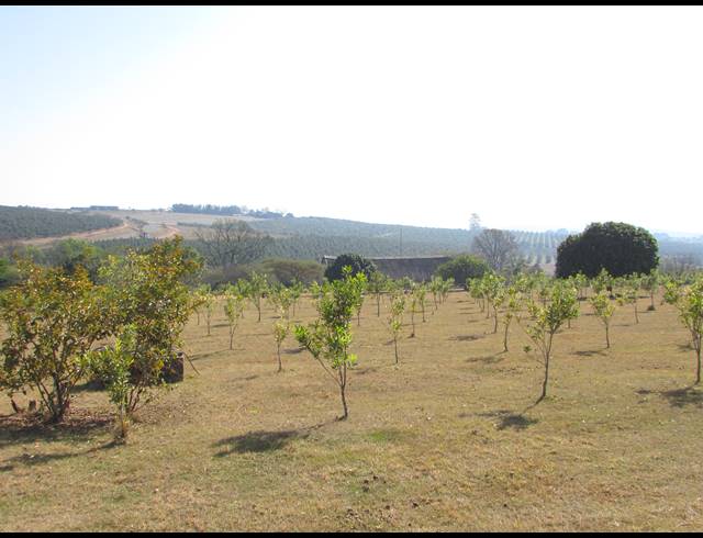 6HA SMALLHOLDING FOR SALE IN WHITE RIVER ESTATES